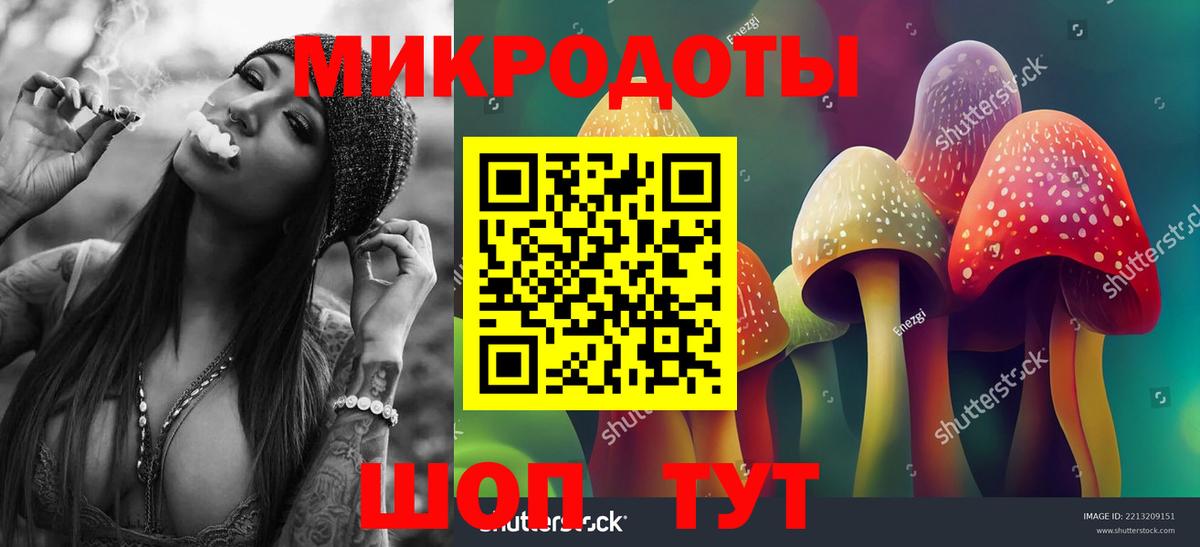 Ростов-на-Дону  Псилоцибиновые грибы Psilocybine cubensis  Вход с VPN 